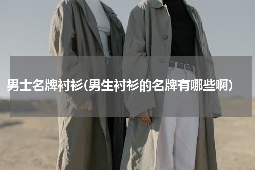 男士名牌衬衫(男生衬衫的名牌有哪些啊)