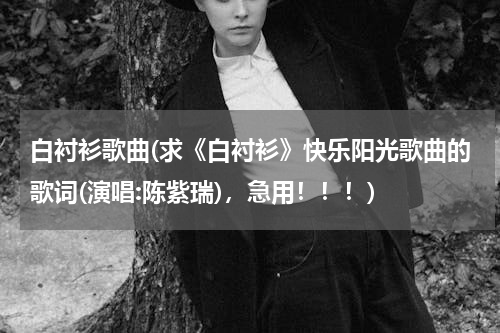 白衬衫歌曲(求《白衬衫》快乐阳光歌曲的歌词(演唱:陈紫瑞)，急用！！！)