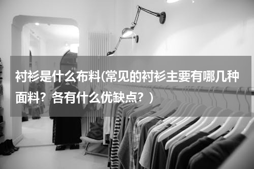 衬衫是什么布料(常见的衬衫主要有哪几种面料？各有什么优缺点？)