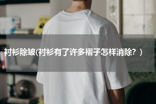 衬衫除皱(衬衫有了许多褶子怎样消除？)