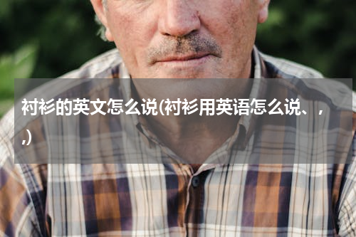 衬衫的英文怎么说(衬衫用英语怎么说、,,)