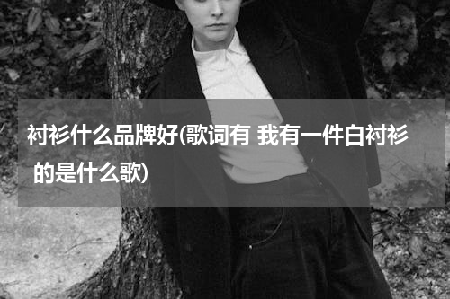 衬衫什么品牌好(歌词有 我有一件白衬衫 的是什么歌)