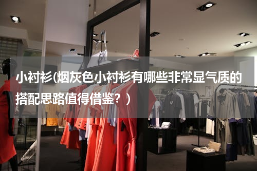 小衬衫(烟灰色小衬衫有哪些非常显气质的搭配思路值得借鉴？)