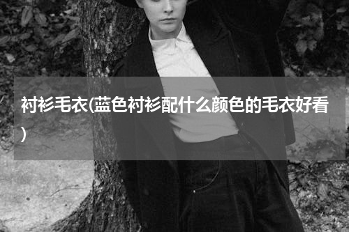 衬衫毛衣(蓝色衬衫配什么颜色的毛衣好看)
