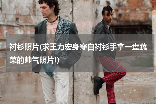 衬衫照片(求王力宏身穿白衬衫手拿一盘蔬菜的帅气照片!)