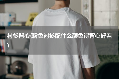 衬衫背心(粉色衬衫配什么颜色得背心好看)