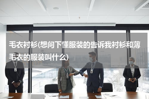 毛衣衬衫(想问下懂服装的告诉我衬衫和薄毛衣的服装叫什么)