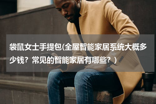 袋鼠女士手提包(全屋智能家居系统大概多少钱？常见的智能家居有哪些？)