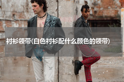 衬衫领带(白色衬衫配什么颜色的领带)