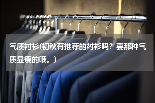 气质衬衫(初秋有推荐的衬衫吗？要那种气质显瘦的哦。)